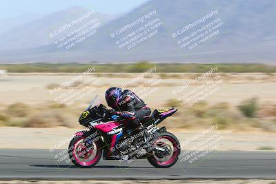 media/Apr-10-2022-SoCal Trackdays (Sun) [[f104b12566]]/Speed Shots Back Straight (930am)/